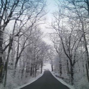 Meet your Posher, Dan